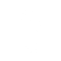 Barefoot shoe