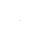 Orthotics
